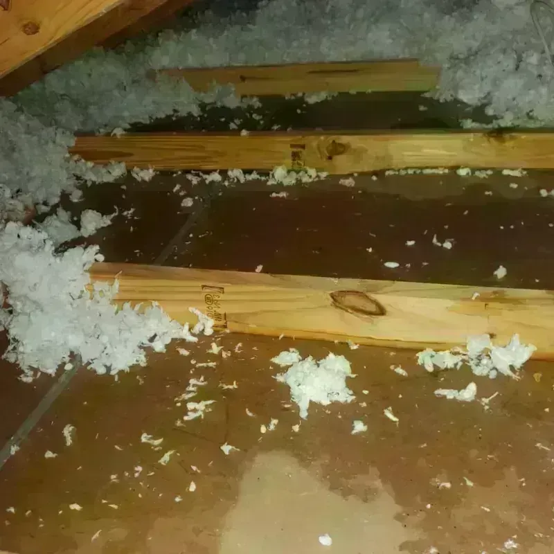 Attic Water Damage in Midland County, TX