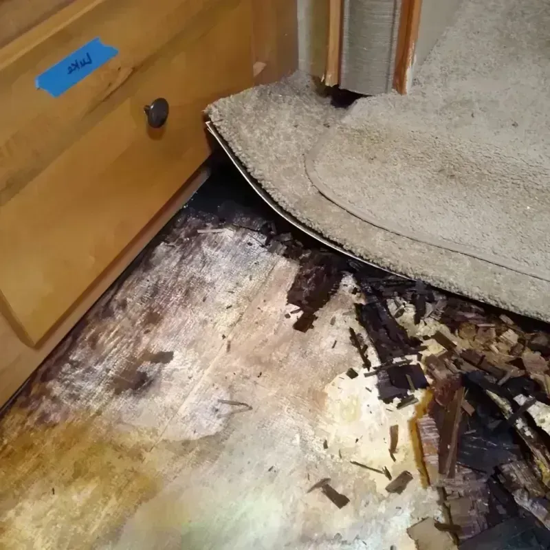 Wood Floor Water Damage in Midland County, TX